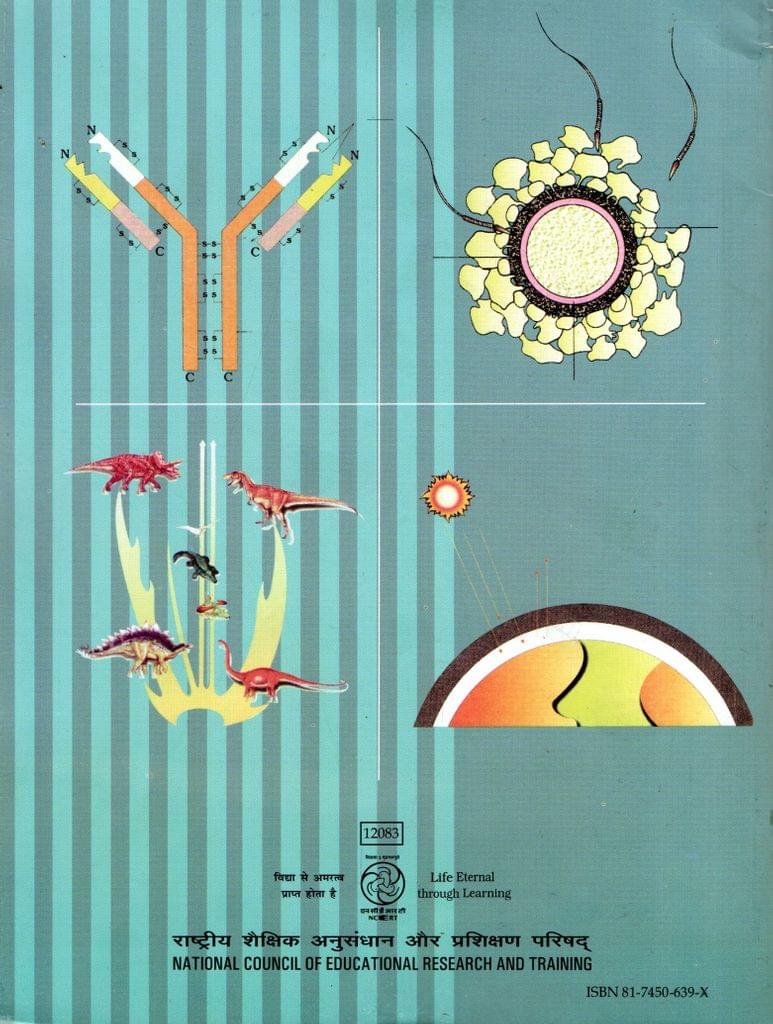 Class - 12 NCERT Biology