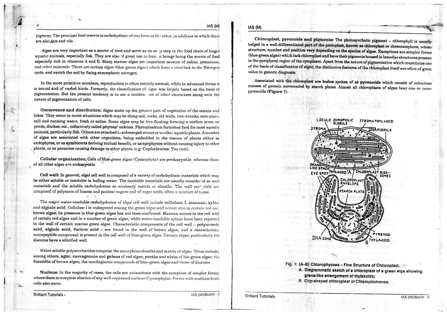 BOTANY Brilliant Tutorials PRINTED MATERIAL (English Medium)