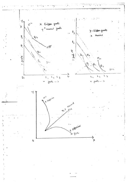 Uday Bhan Singh Economics Optional Class Notes (हिन्दी माध्यम) Useful For Auditor,Project manager,UPSC,BPSC etc